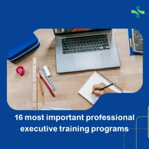 16 most important professional executive training programs