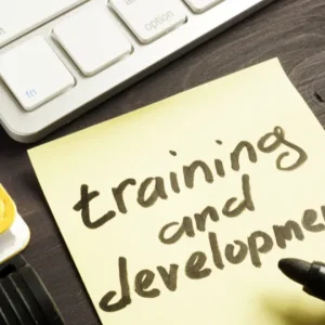 Everything you want to know about training and development