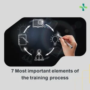 7 Most important elements of the training process