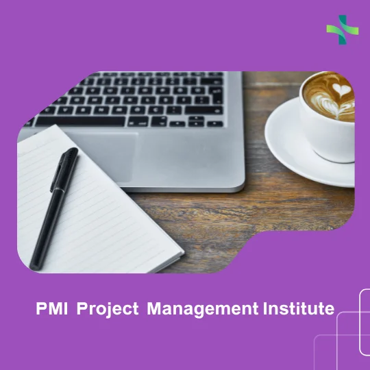 PMI Project Management Institute